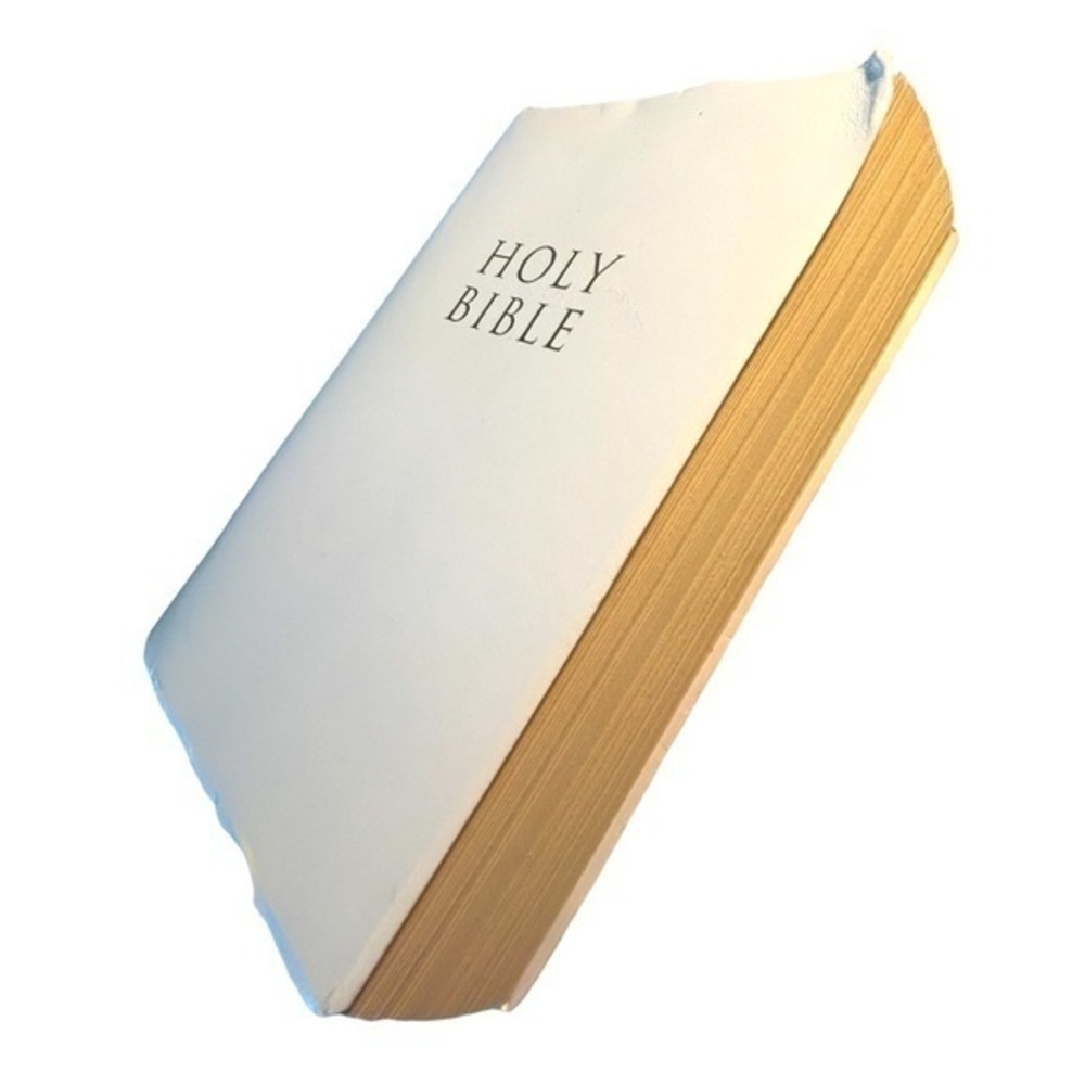 ZONDERVAN HOLY BIBLE AUTHORIZED KING JAMES VERSION, WHITE & GOLD